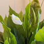 Snowflake Iii - Season Worker For Long Term * Rovaniemi