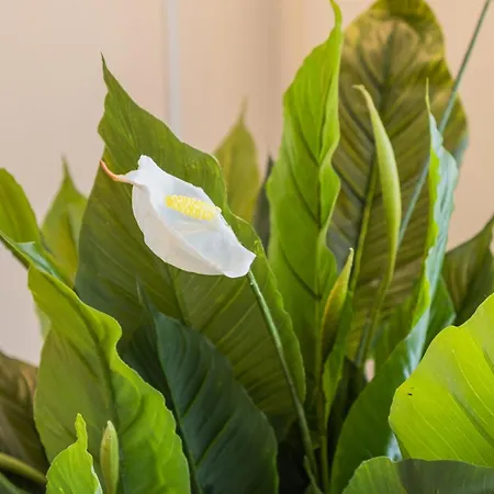 Snowflake Suites III * Rovaniemi